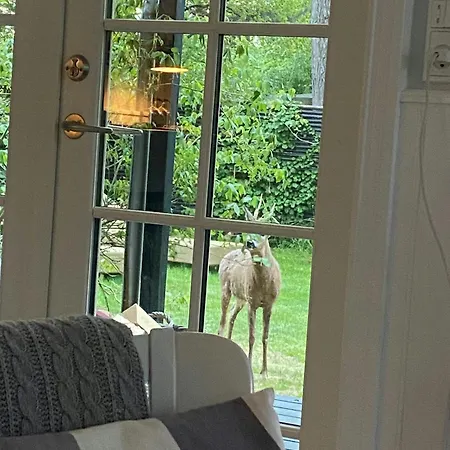 Charming Cottage Close To Tisvilde Beach Dom wakacyjny Tisvilde